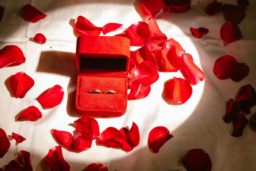 proposal setup